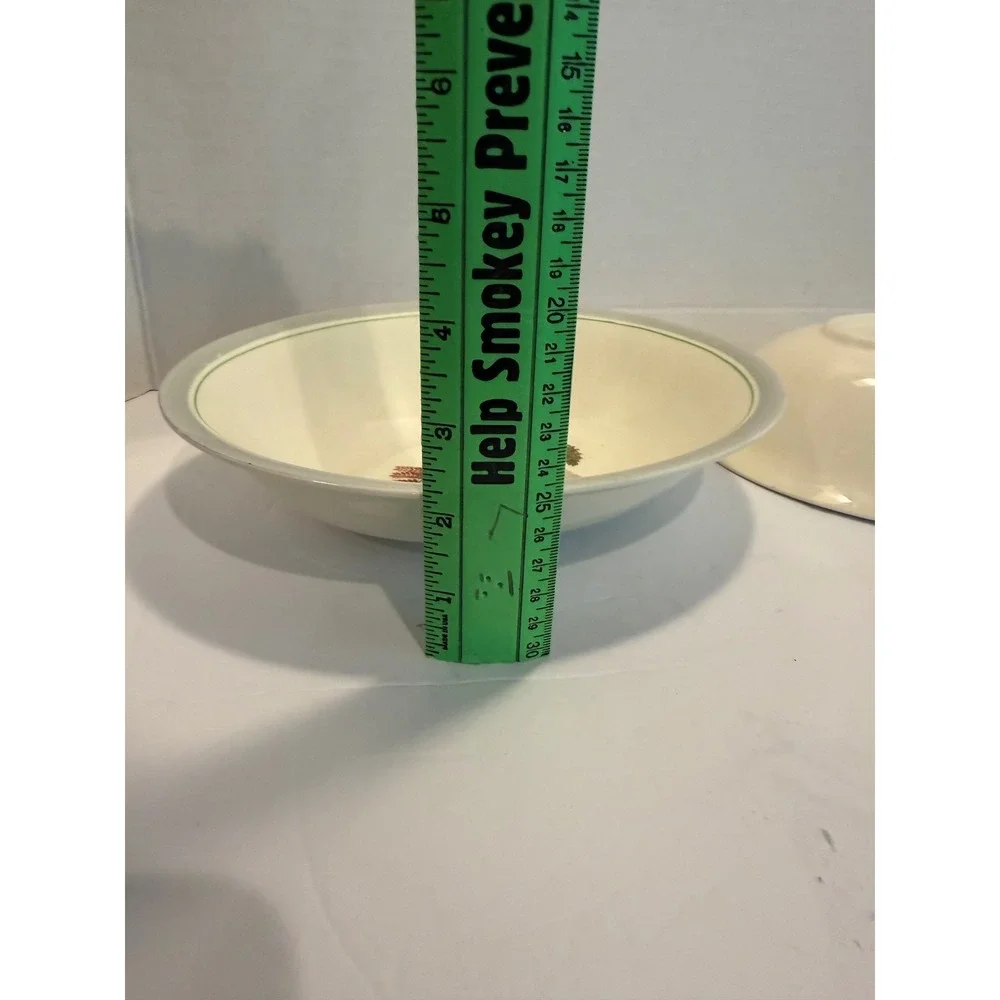 Vtg Steubenville Fern 2 Serving Dish/Vegetable Oval bowls 9